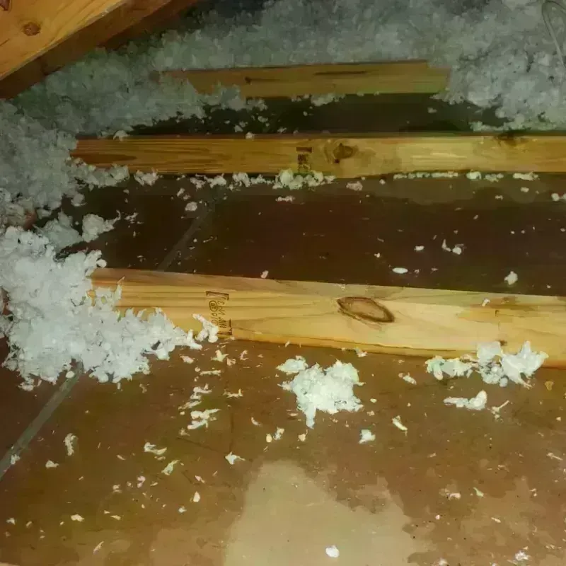 Attic Water Damage in Doraville, GA