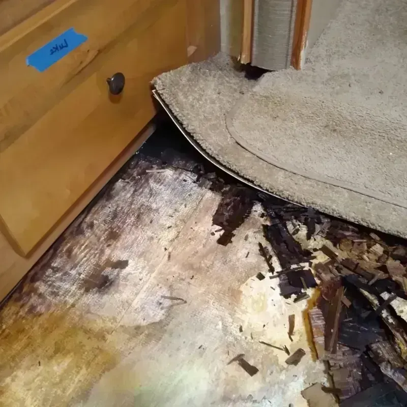 Wood Floor Water Damage in Doraville, GA